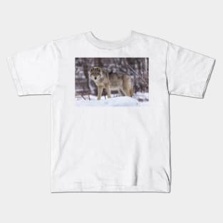 Timber wolf in winter Kids T-Shirt